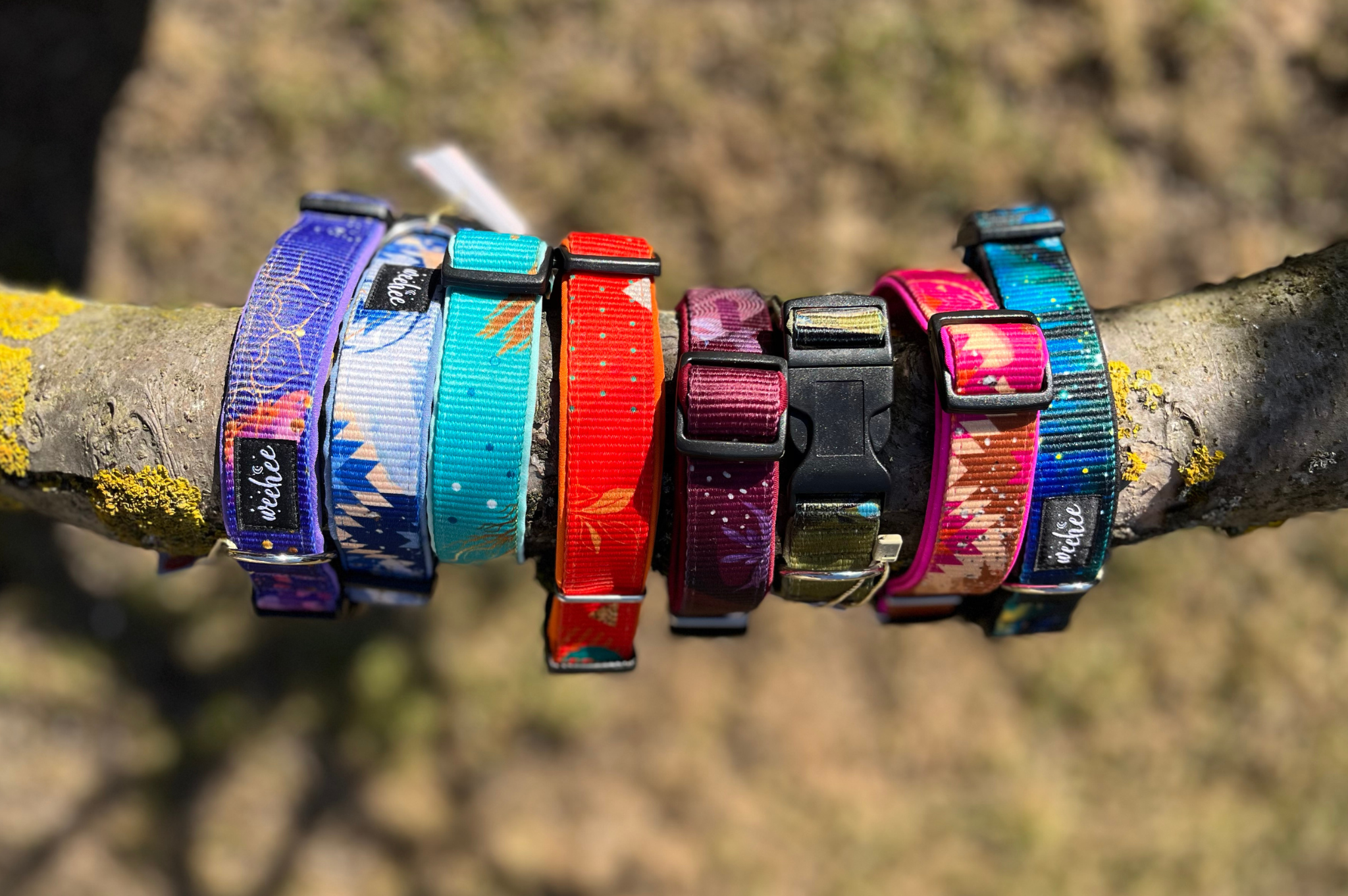 weehee obojky a vodítka